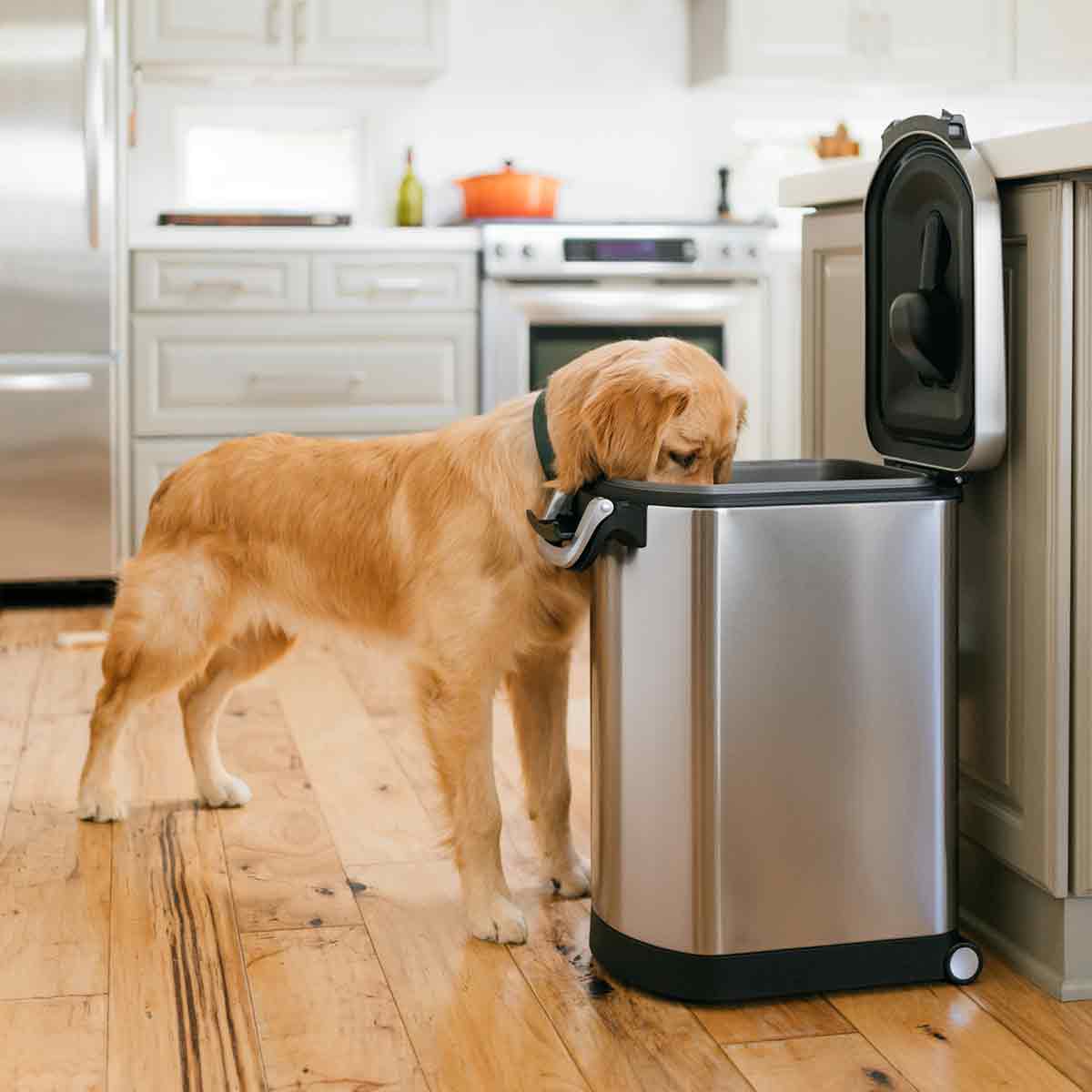 Large Pet Food Can - Image 6