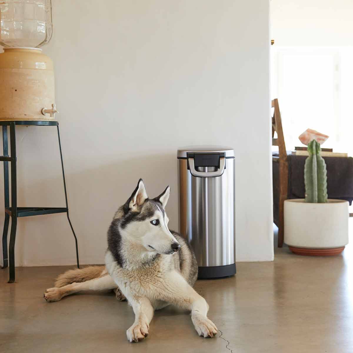 Large Pet Food Can - Image 7